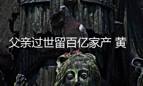 留百情况亿家父亲富是产 韬炫过世黄子什么