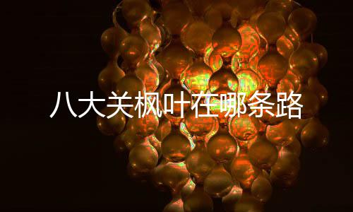 路叶在八大哪条关枫