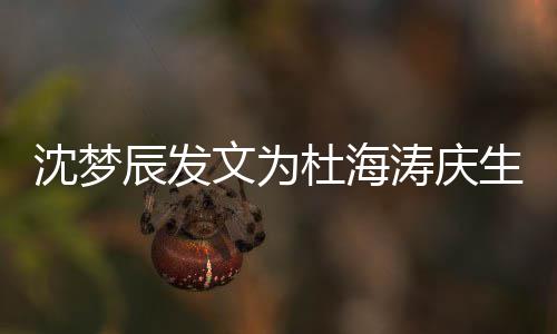 乐杜海辰发涛庆日快乖乖文为沈梦生 生